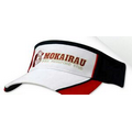 Brushed Heavy Cotton Tri-Color Visor